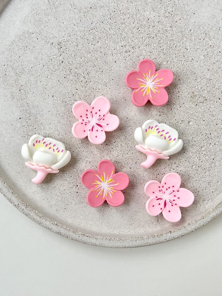 MAGNĒTIŅI, ZIEDIŅI, 6 GAB