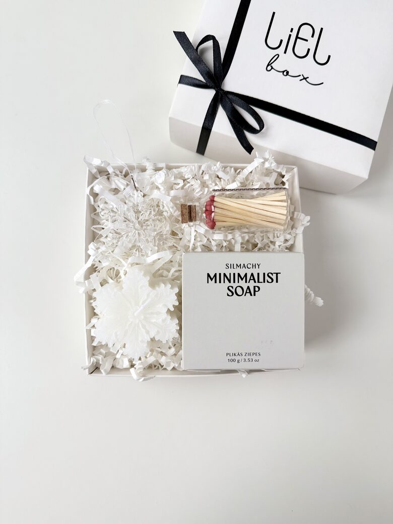 SNIEGA PĀRSLU BUĶETE