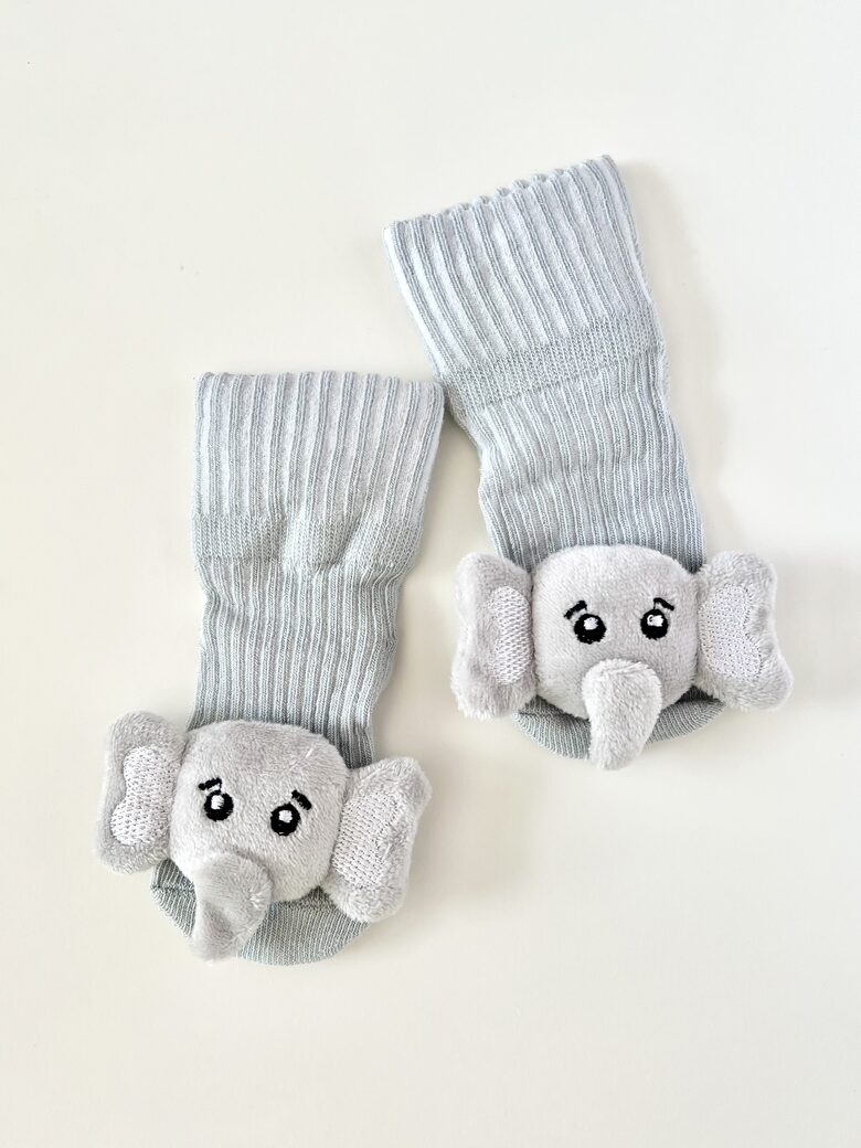 ZEĶĪTES, ZAĻAS - ZILONĪŠI