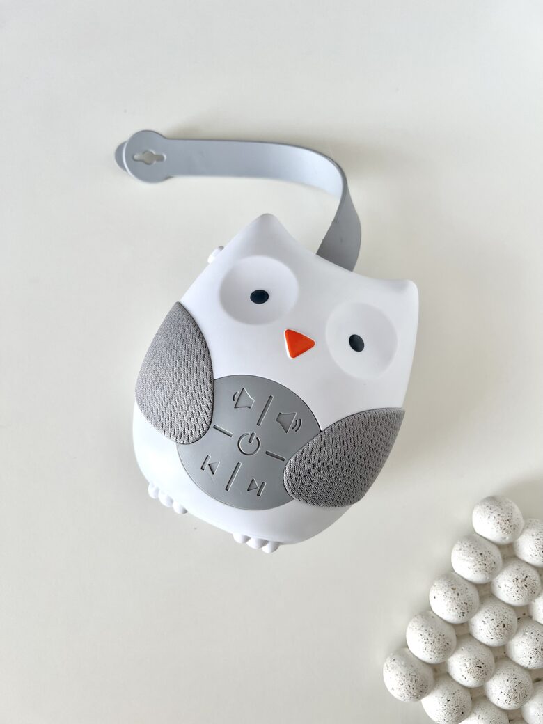 MŪZIKAS ATSKAŅOTĀJS, ŠŪĻDZIESMAS, PŪCE