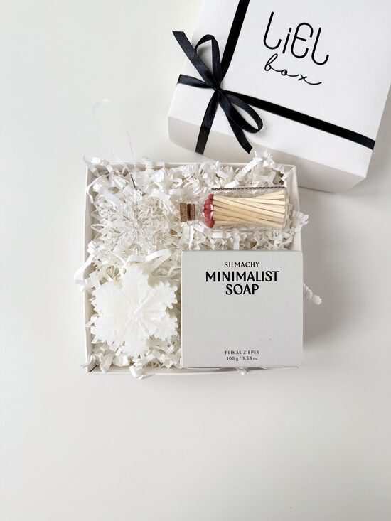 SNIEGA PĀRSLU BUĶETE