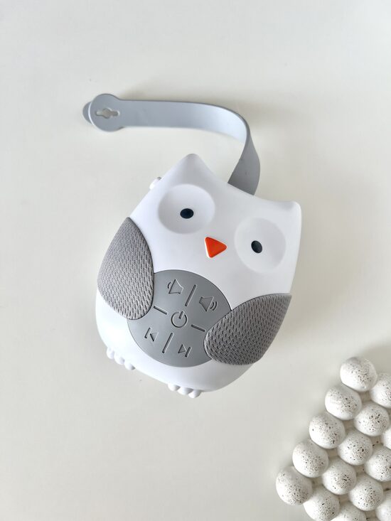 MŪZIKAS ATSKAŅOTĀJS, ŠŪĻDZIESMAS, PŪCE