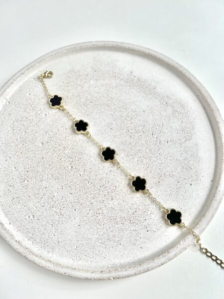 ROKASSPRĀDZE, MELNA, PIECLAPĪTES